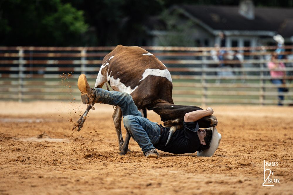 A cowboy gets knocked down by a brown and white bull during a rodeo competition in a dirt arena.