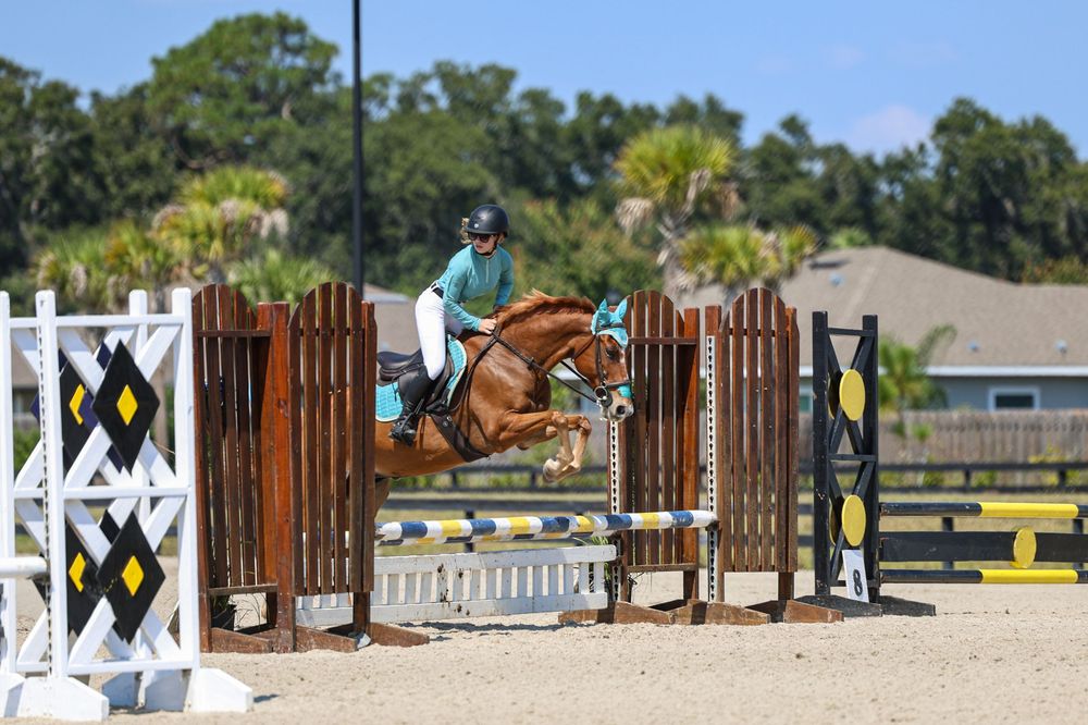 Equestrian rider in teal helmet jumping a chestnut horse over a wooden fence at an outdoor show jumping competition.