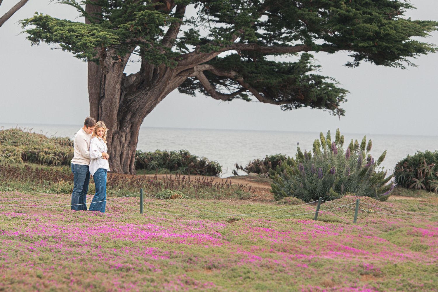 Couple embracing under a cypress tree surrounded by pink wildflowers with ocean views in the background.