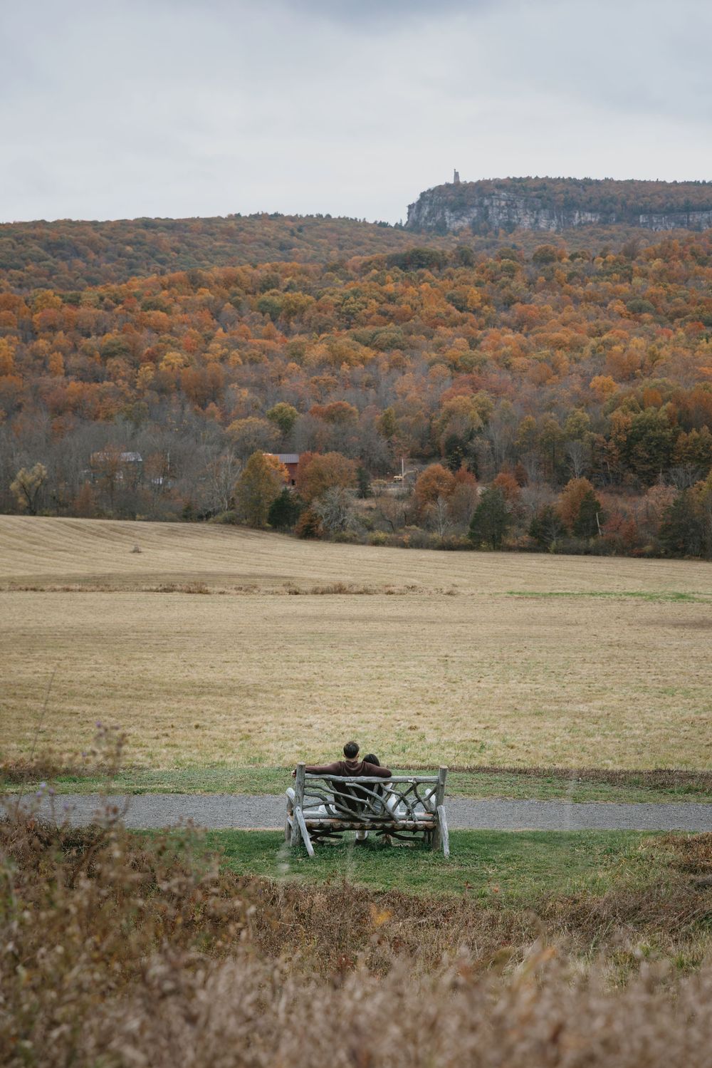 Person sitting on a rustic bench overlooking autumn foliage hills and golden fields under overcast skies.