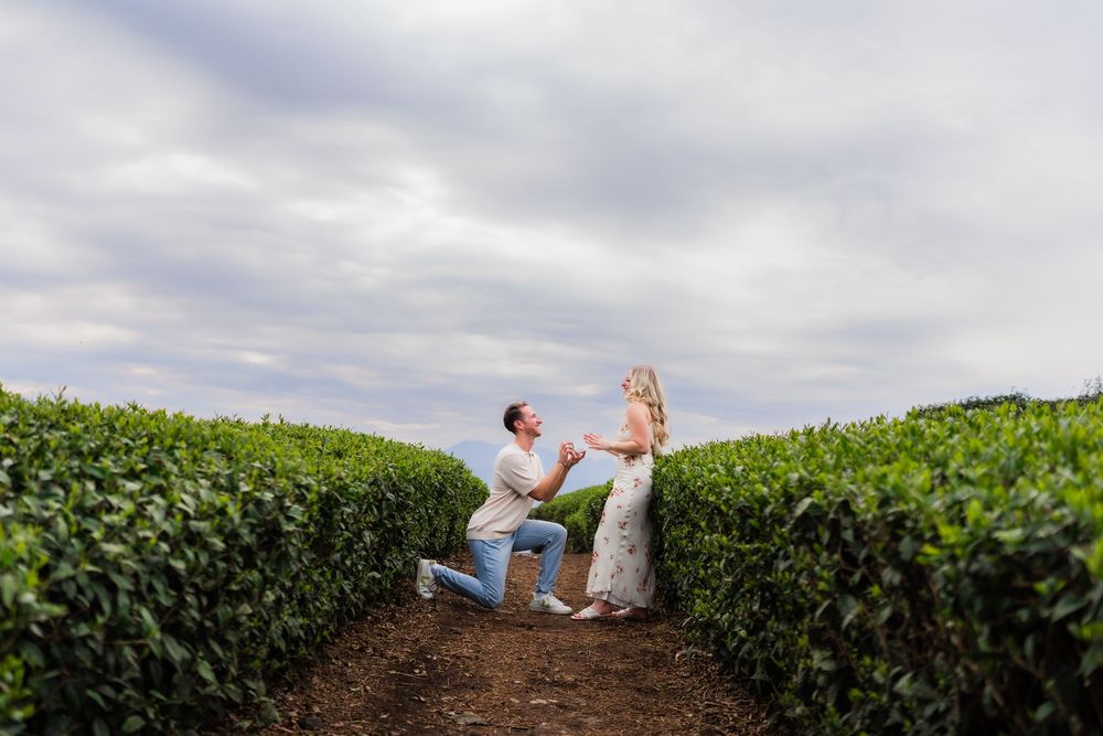 Man proposing to woman on one knee in scenic green tea fields.