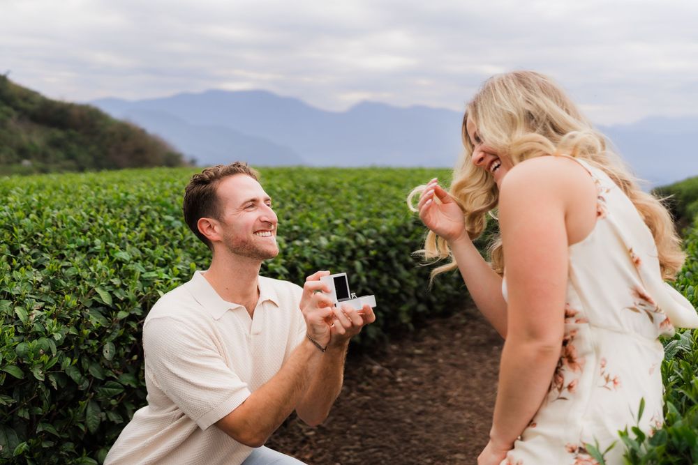 Joyful marriage proposal with ring box in beautiful mountain tea farm.