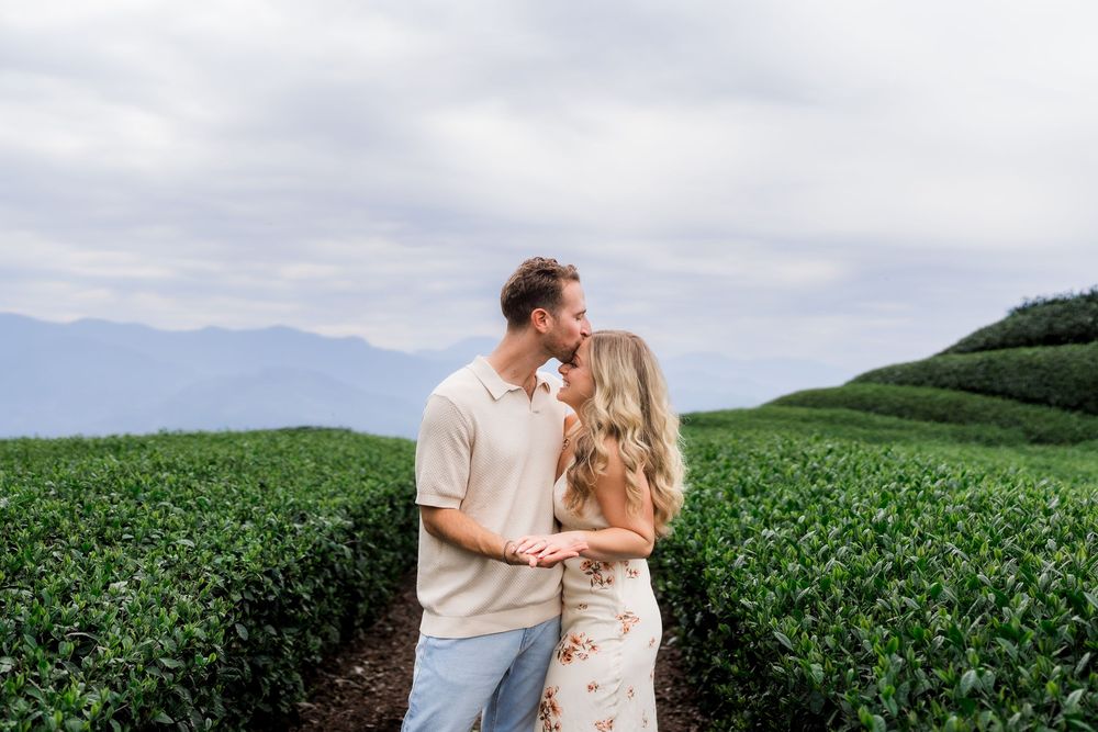 Newly engaged couple sharing a kiss among green tea field rows.