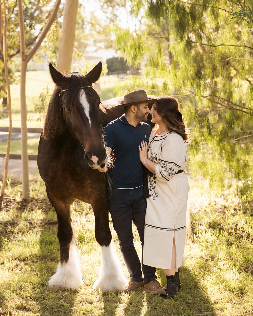 Couple sharing a romantic moment beside a dark brown shire horse in a sunlit park setting during an equine photoshoot in sydney