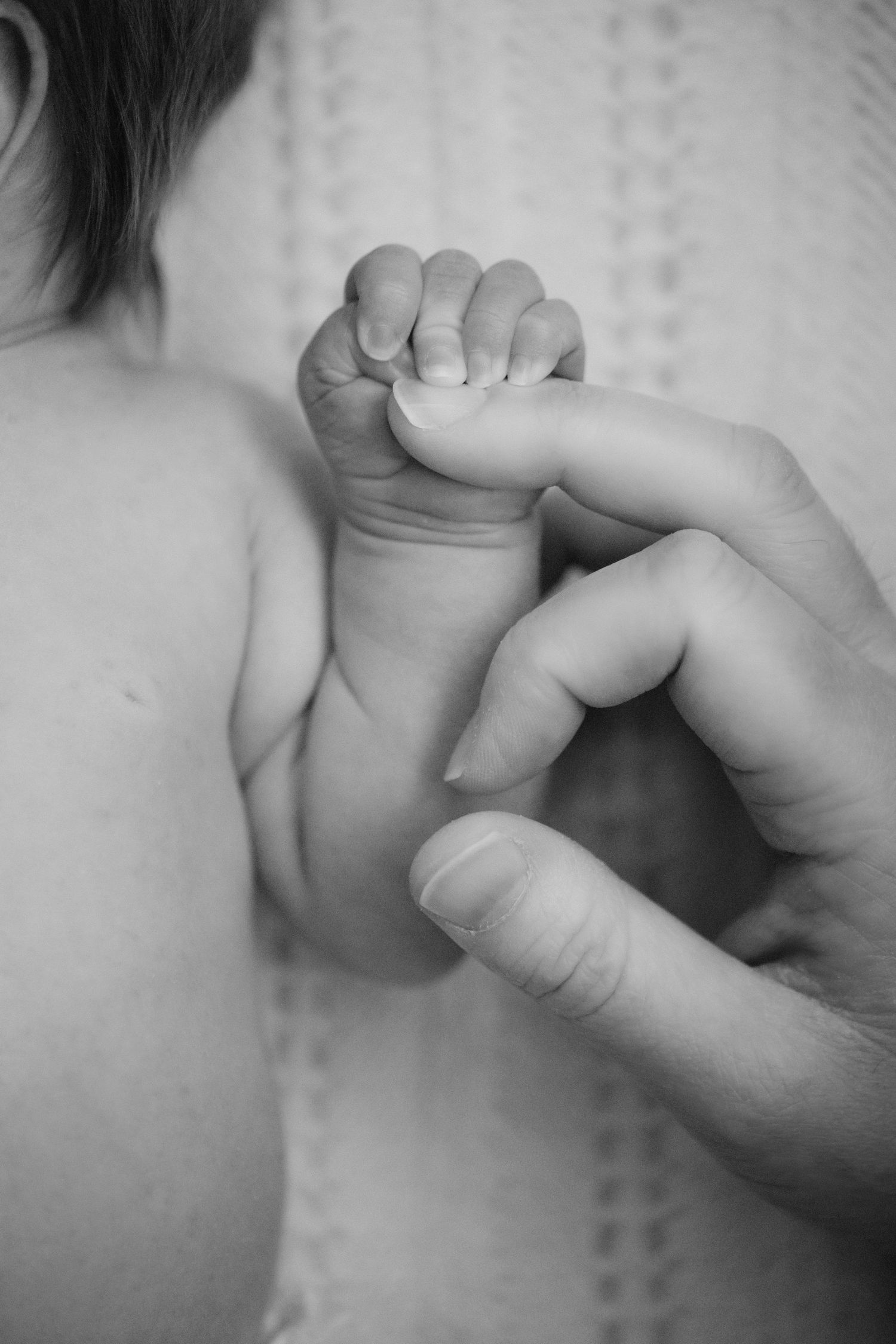 Detail image of newborn baby holding his mother’s hand