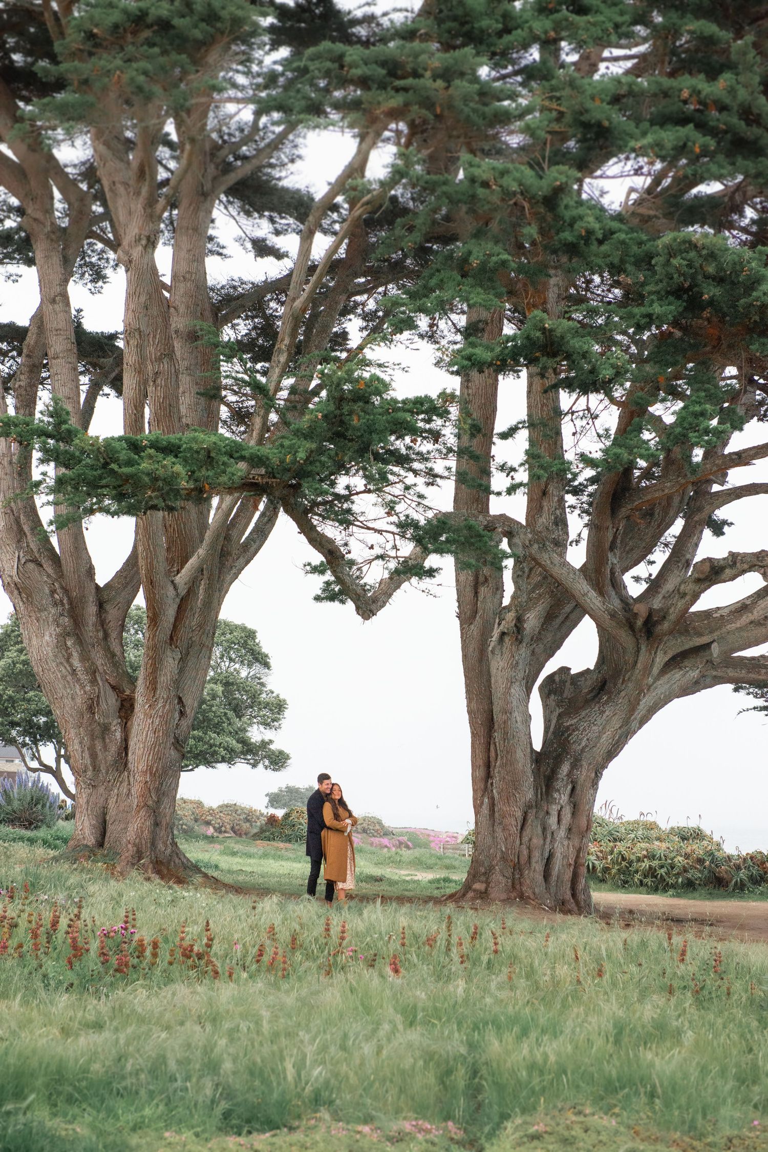 Couple embracing under towering cypress trees in a lush green meadow with red wildflowers on a misty day.