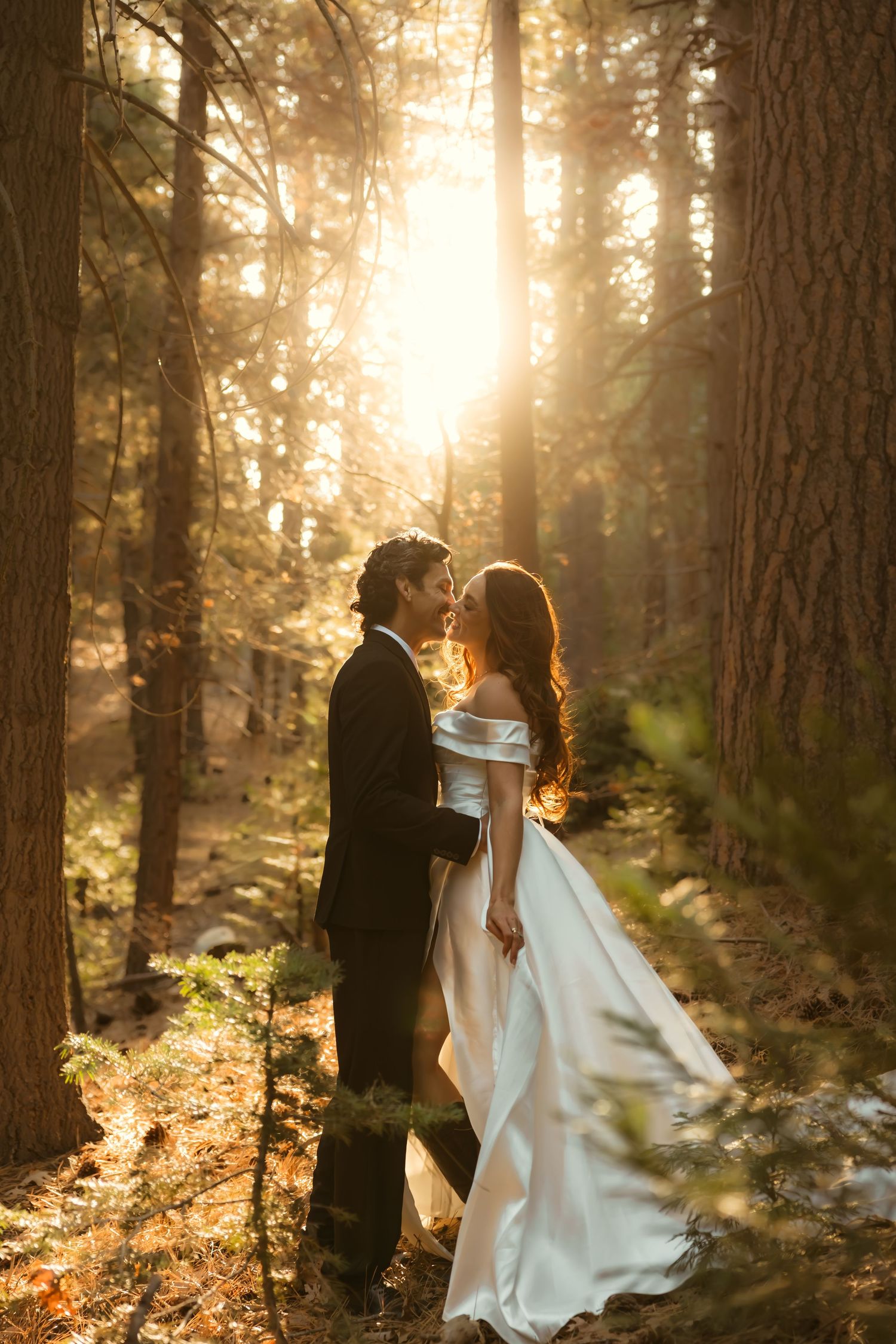 Bride and groom share a romantic moment in sunlit forest, golden light streaming through tall pine trees.