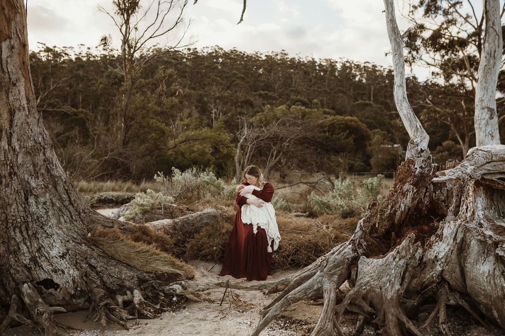 Couple embracing in a scenic bush landscape with white gum trees and lush greenery, woman in elegant burgundy gown.