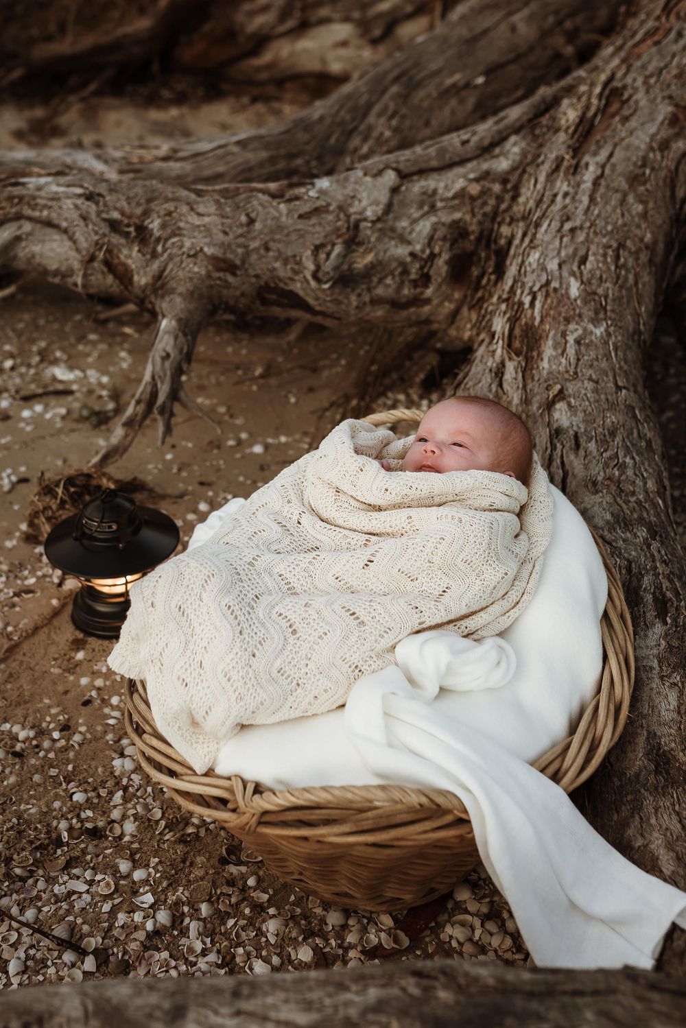Newborn baby swaddled in cream knit blanket sleeping in wicker basket nestled among tree roots outdoors.