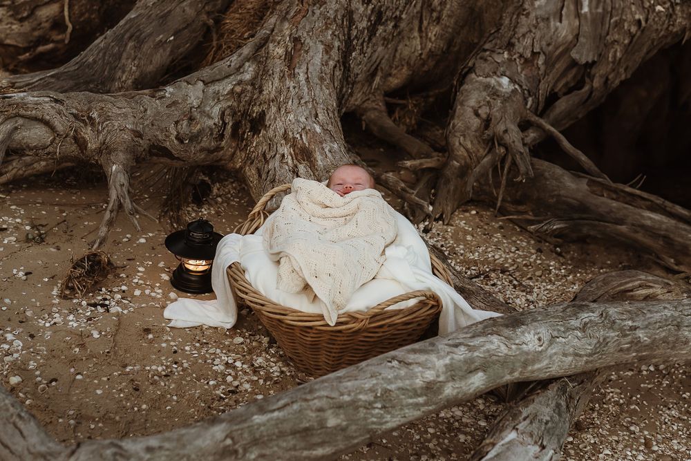 Newborn baby sleeping in a wicker basket wrapped in cream knit blanket among ancient tree roots outdoors.