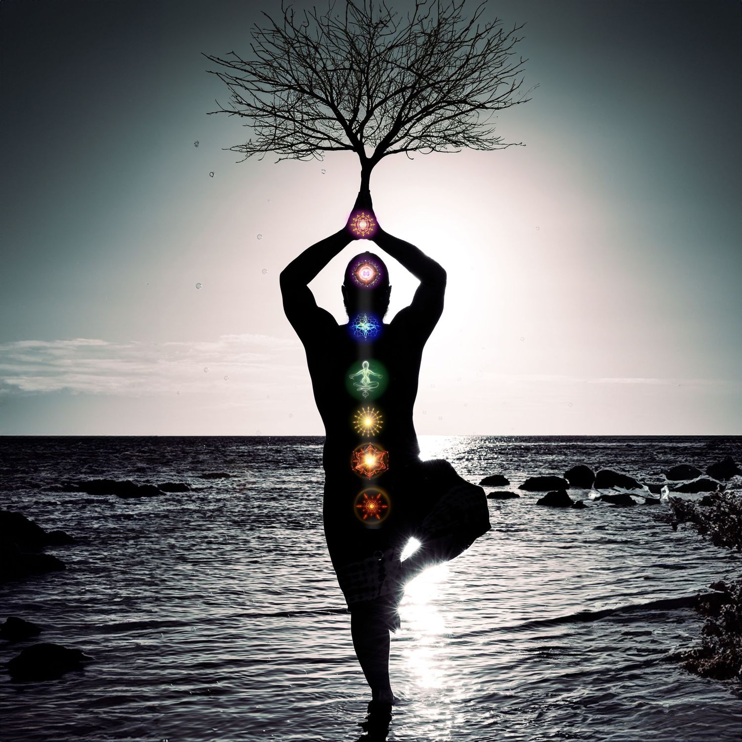 Silhouette of a person in tree yoga pose with colorful chakras and a bare tree against a sunset ocean backdrop.