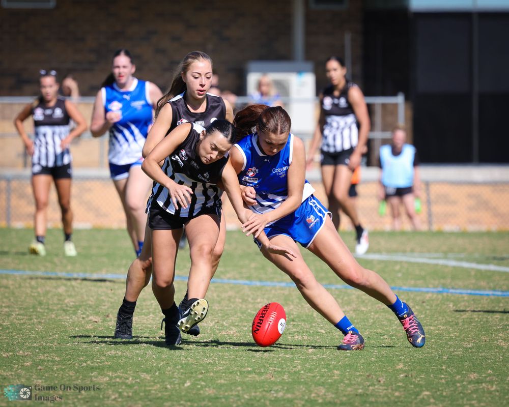 Melbourne Sports Photographer.  Ringwood East v Surrey Park.  AFL