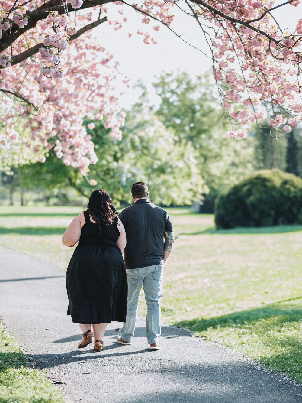 Two people walking along a path under blooming cherry blossom trees.