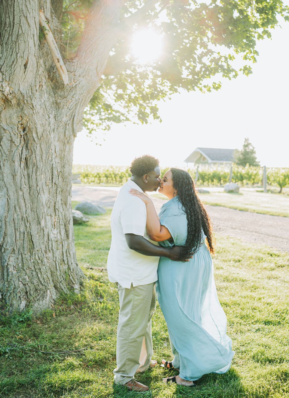 Couple sharing a kiss under a large tree at golden hour, with vineyard in the background.