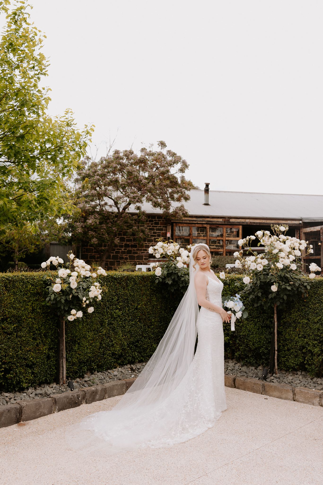 A flowing white wedding dress and veil captured in multiple angles against a garden backdrop with white roses.