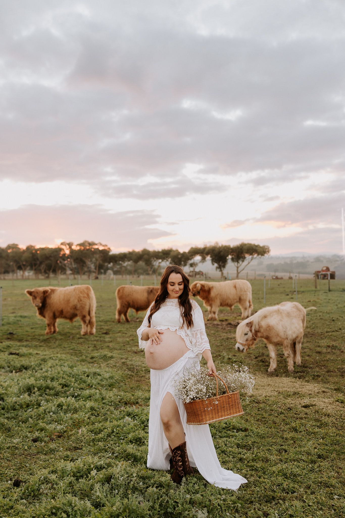 Pregnant woman in white lace dress holding flower basket in field with Highland cattle at sunset.