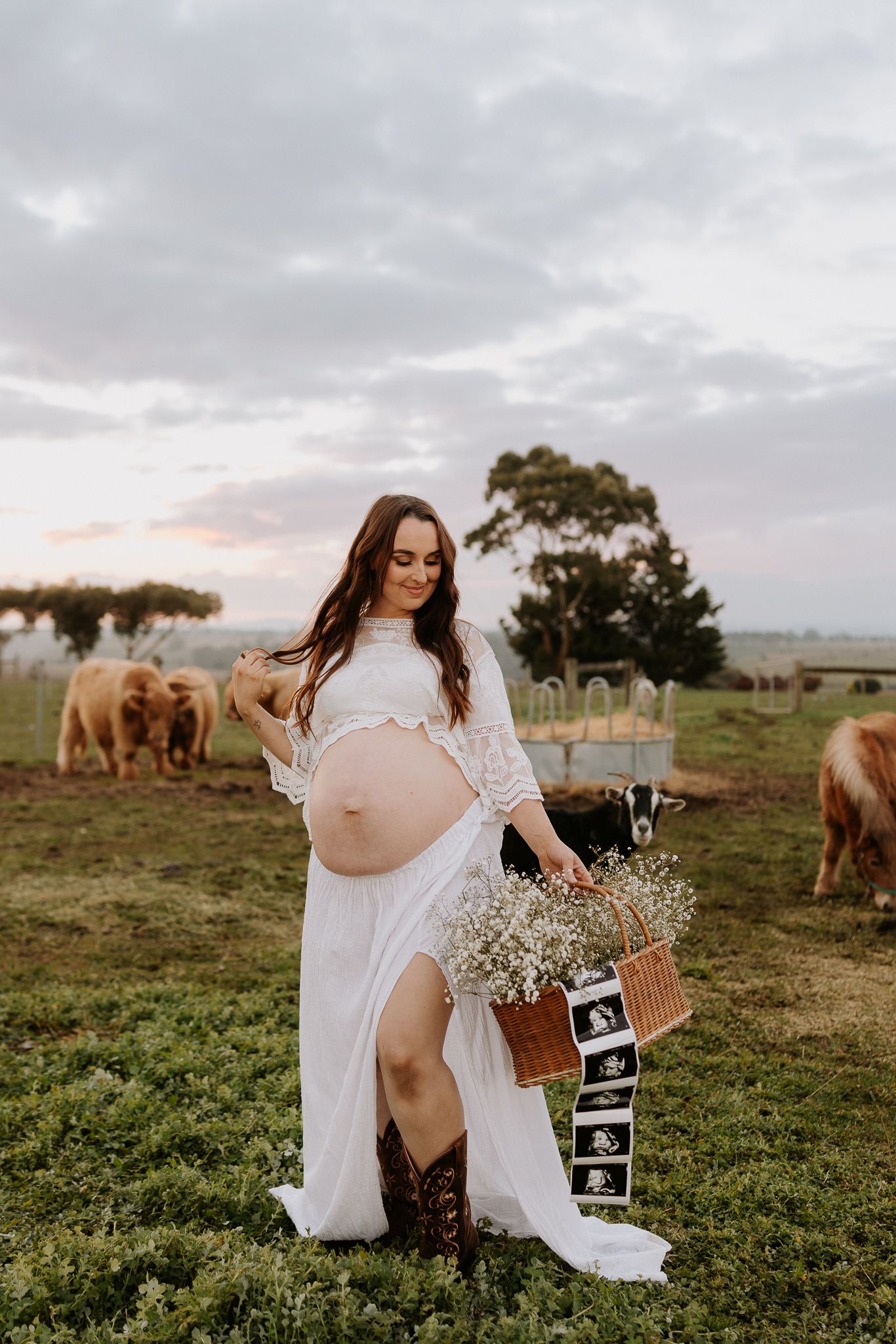 Pregnant woman in white lace dress holding floral basket with ultrasound photos on a farm with Highland cattle at sunset.