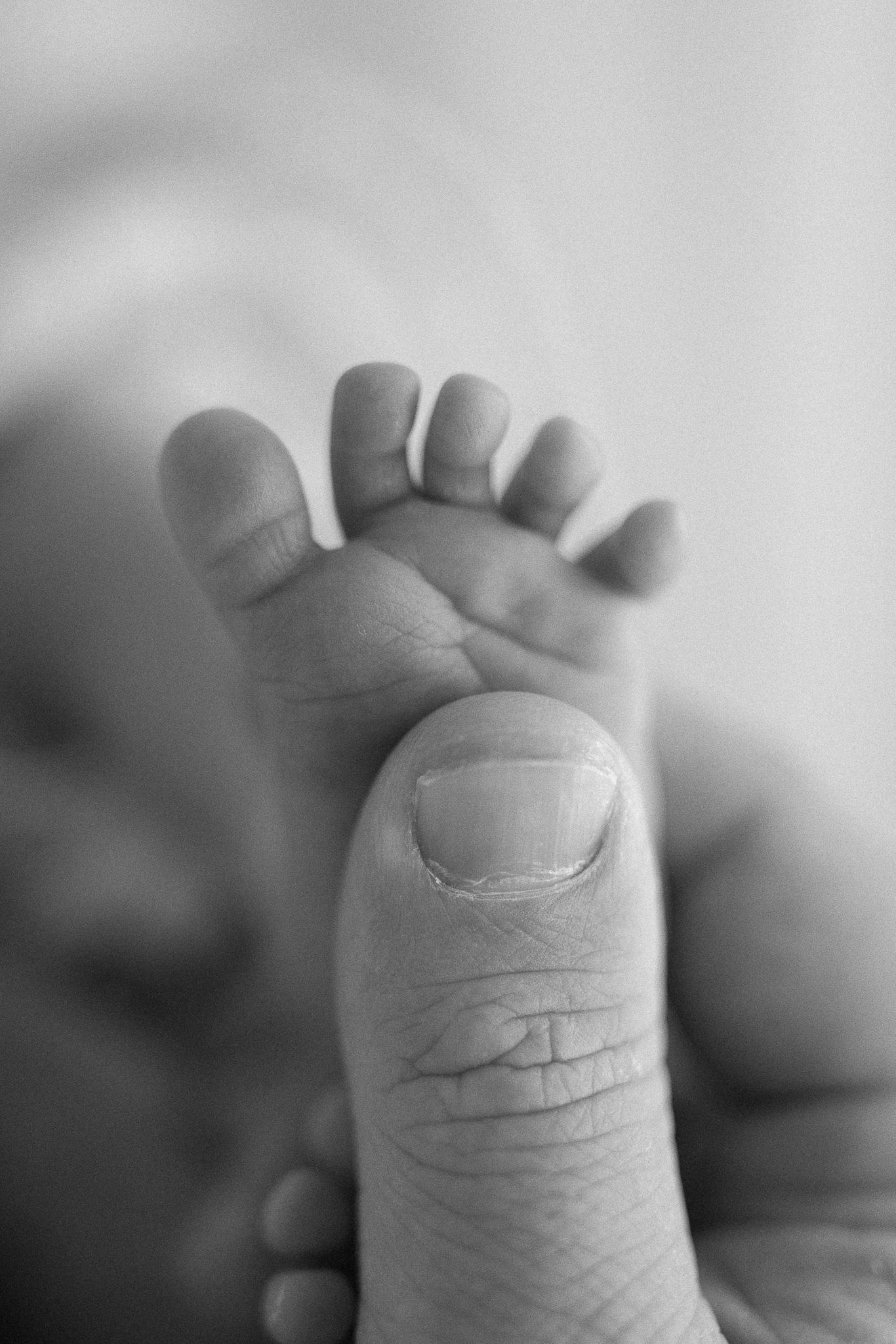 Black and white close-up of a newborn baby's tiny foot resting on an adult's thumb.