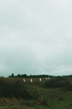 Overcast green hillside landscape with white standing stones and dense tree line under moody gray sky.