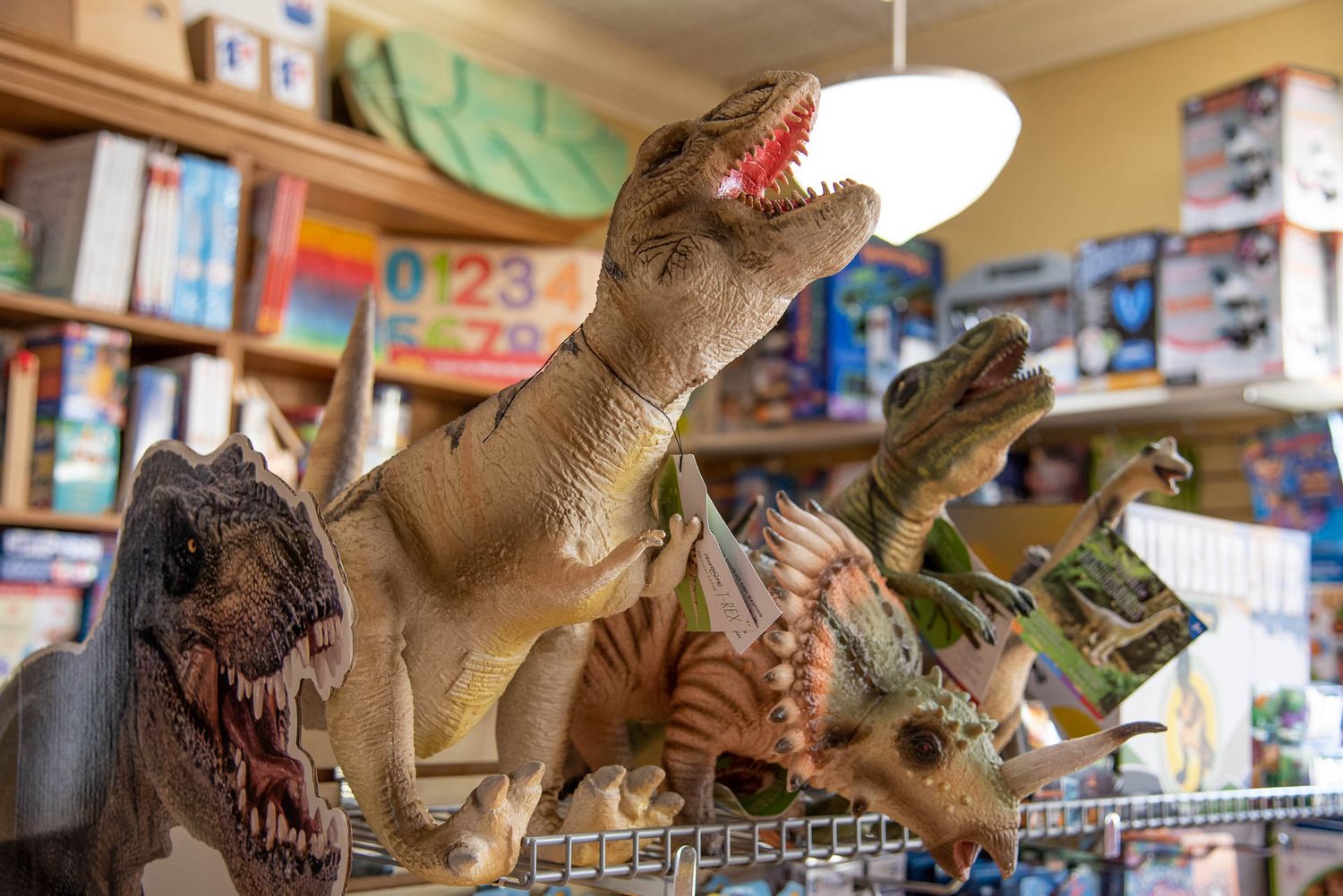 Toy dinosaurs on display in a store with colorful educational materials and numbers visible in the background.
