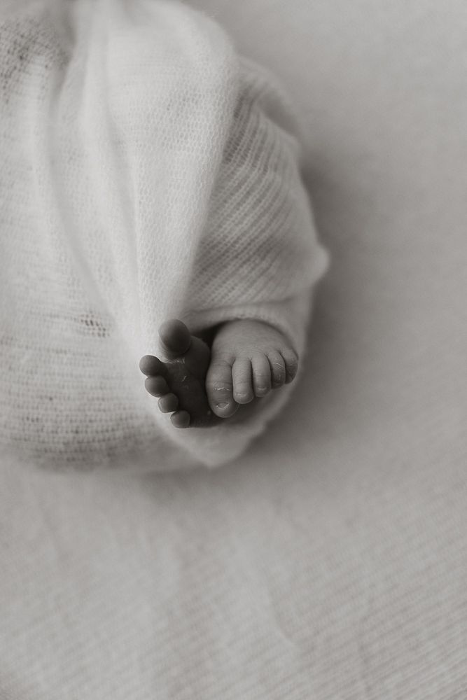 Boston newborn photographer