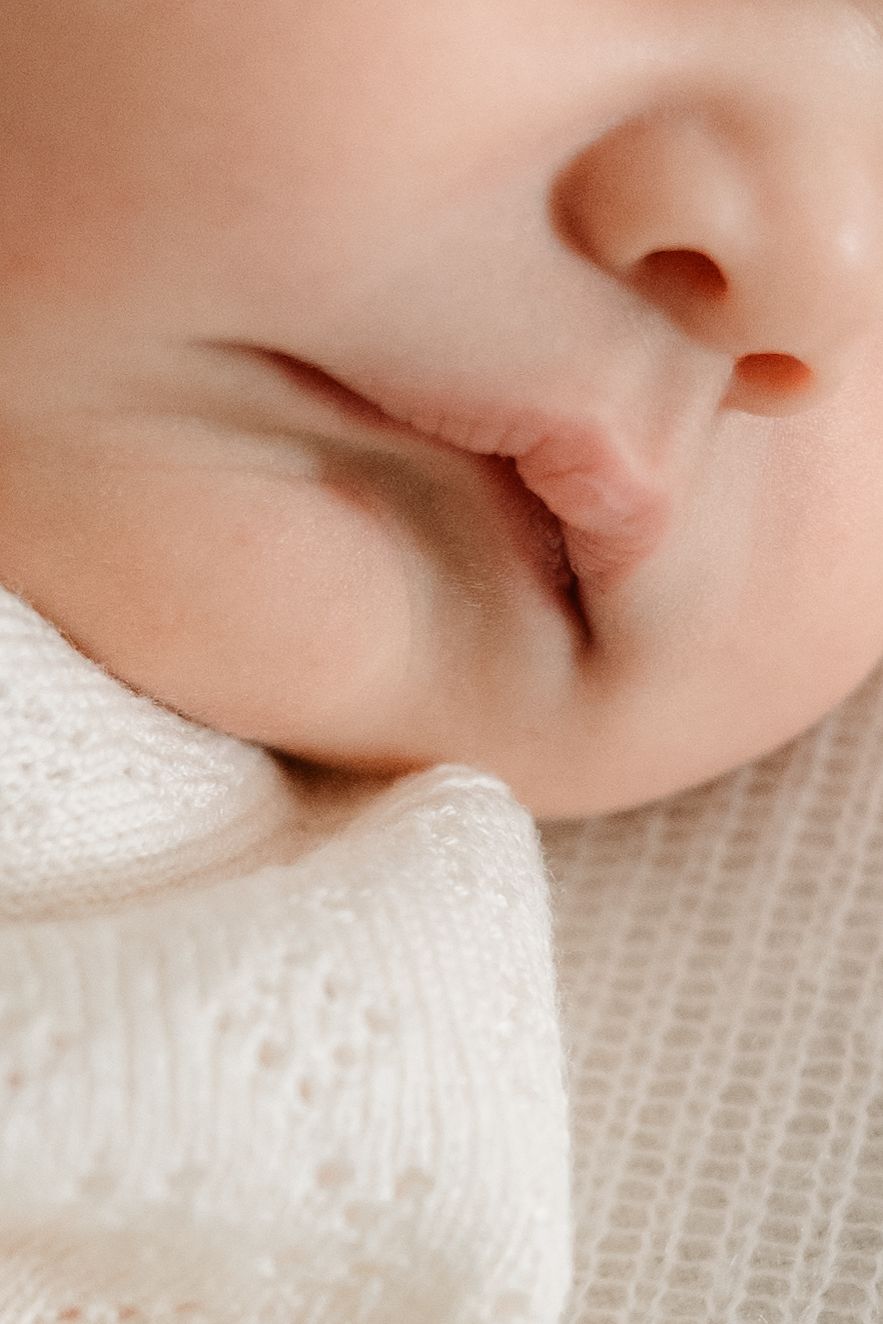 Boston newborn photographer