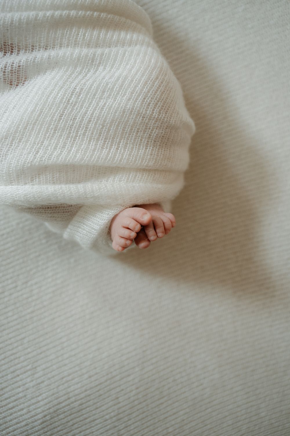 Boston newborn photographer