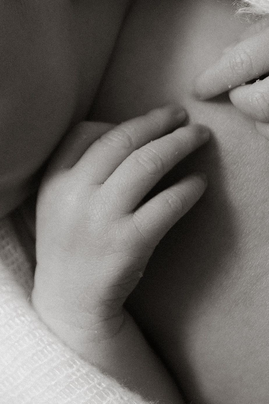 Boston newborn photographer