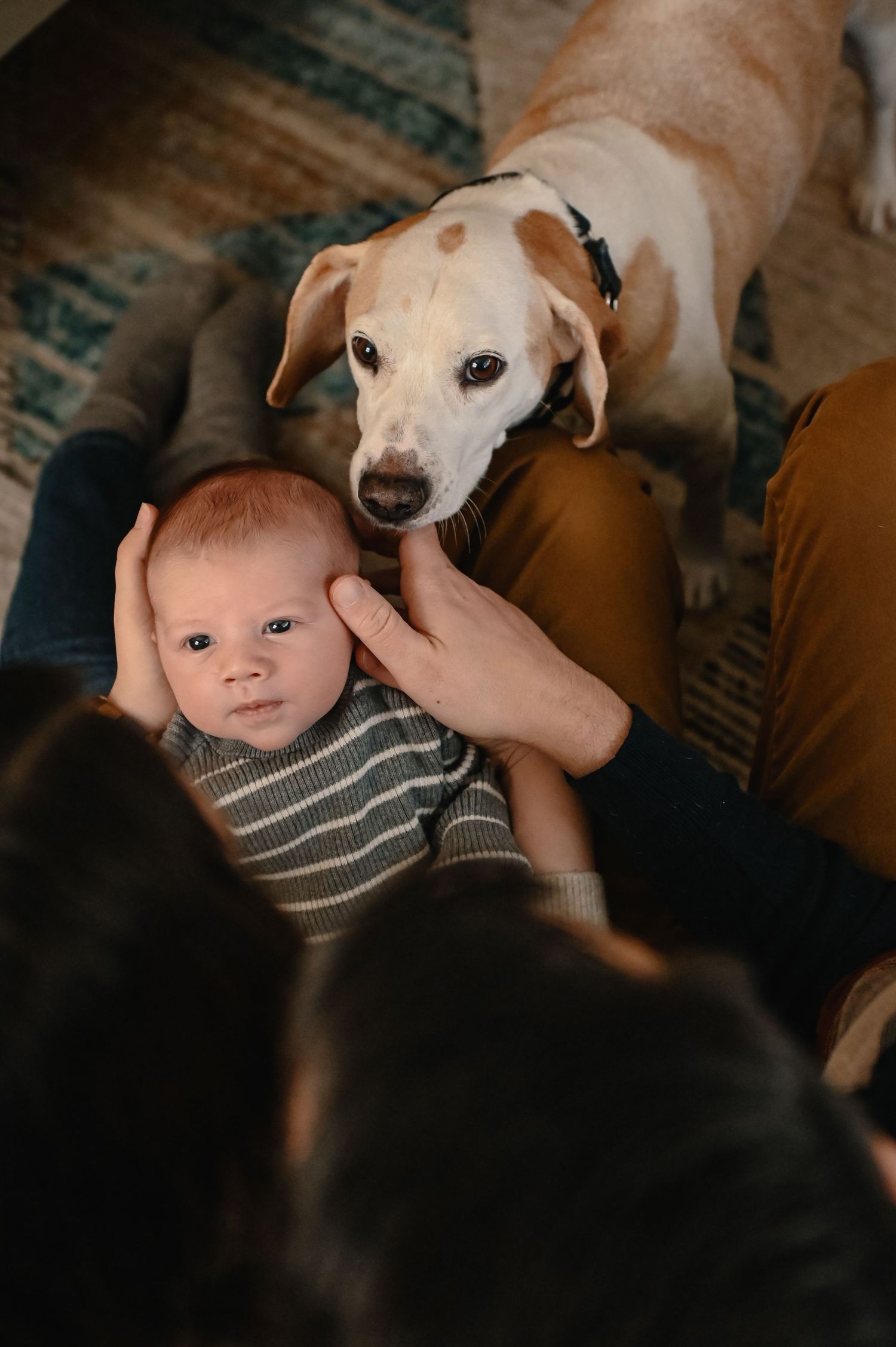 Worcester newborn photographer