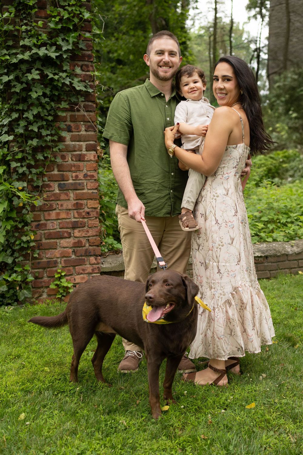 Family and chocolate lab dog pose together on green lawn near brick wall and ivy in outdoor portrait session.