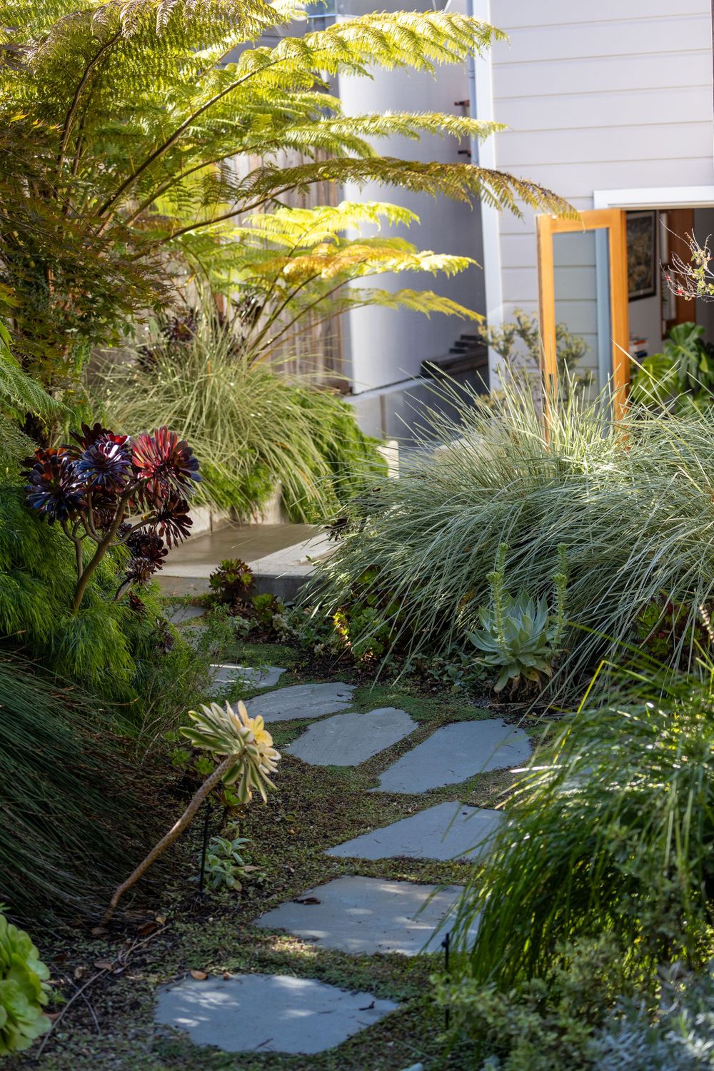 Stone pathway through a lush tropical garden with ferns and ornamental plants beside a modern building.