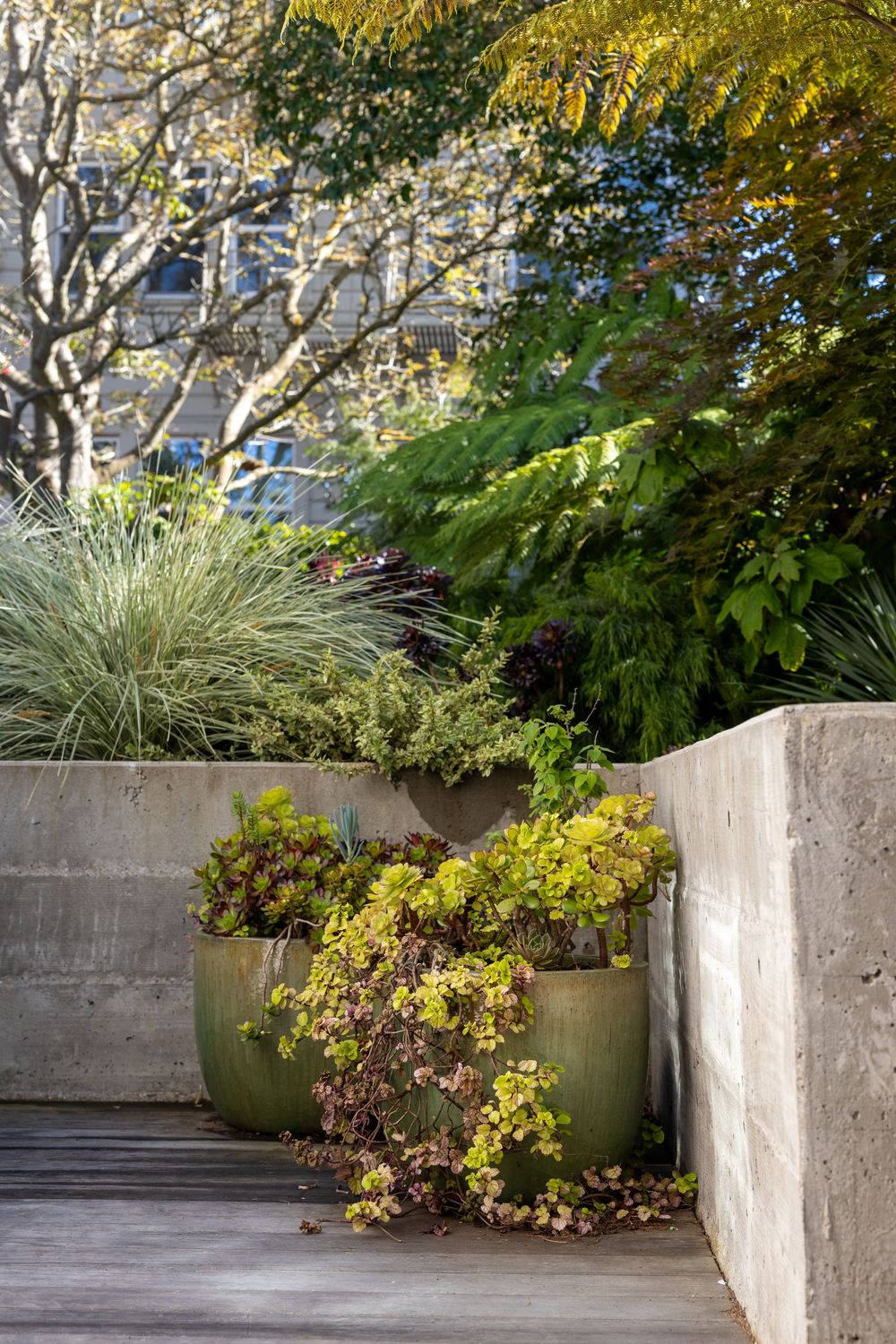 Concrete planter boxes filled with lush greenery and yellow flowers against a white wall.