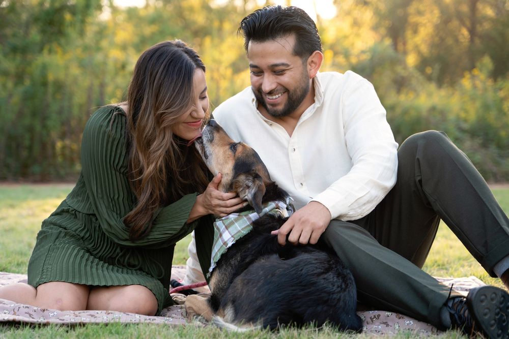Couple sitting on a blanket gazing lovingly into their dog’s eyes during a calm outdoor session in Houston
