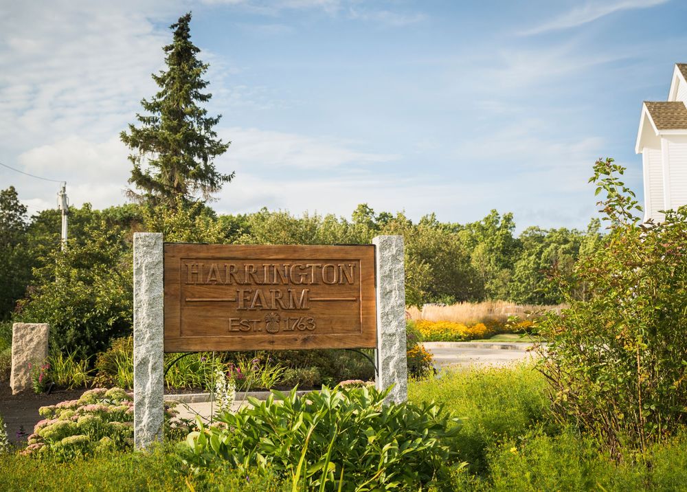 A panoramic view of a coastal landscape with a white church steeple visible among evergreen trees and grassy fields.