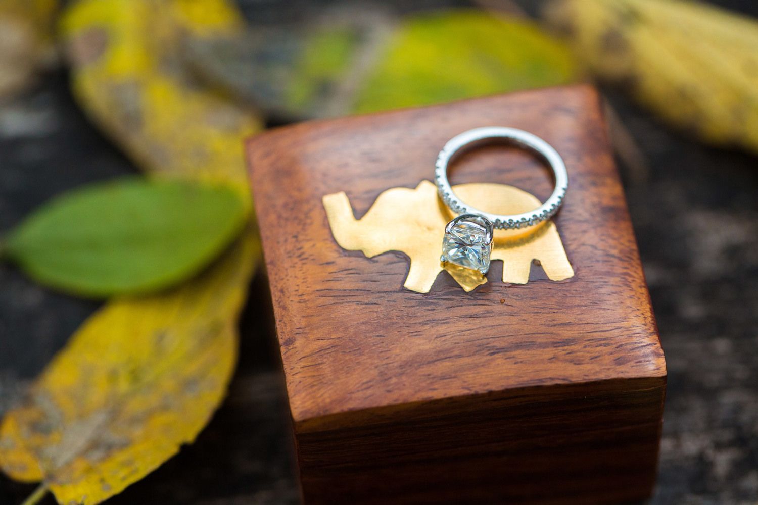 Silver ring with rough gemstone displayed on wooden box with gold elephant, surrounded by autumn leaves.