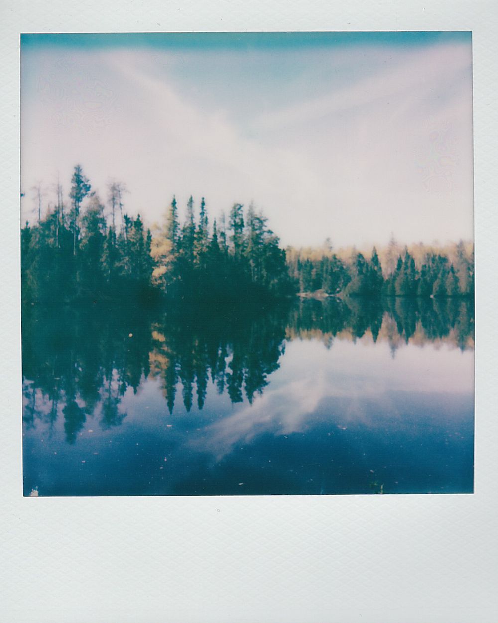 Serene lake reflection with silhouetted pine trees against misty sky.