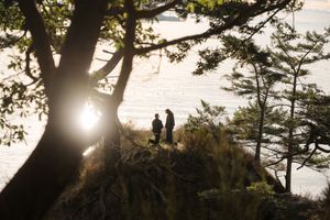 Two people stand among trees overlooking a sunlit coastal shoreline at golden hour.