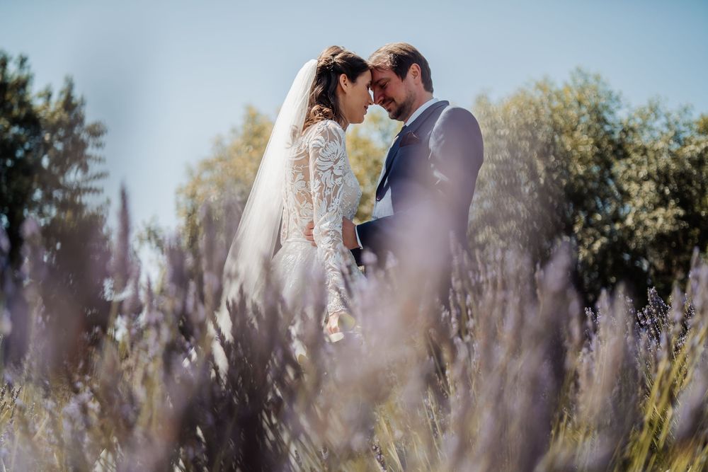 A romantic wedding couple shares an intimate moment among blooming lavender flowers in a sun-drenched garden setting.