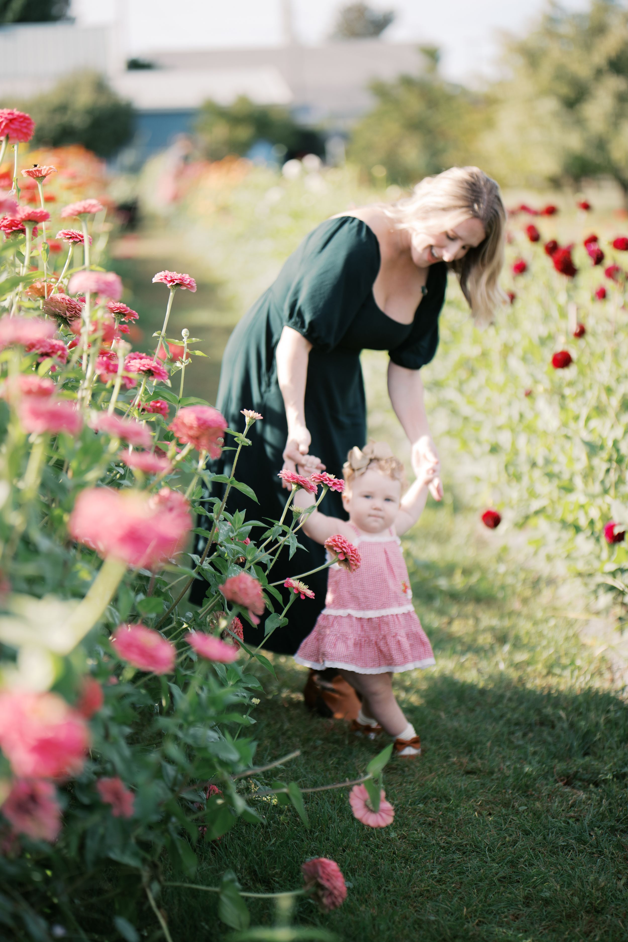 A garden scene with vibrant pink and red zinnias blooming alongside figures in a sunny outdoor setting.