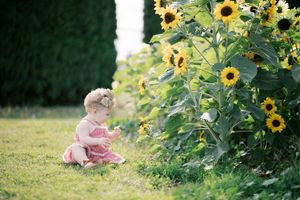 Beautiful sunflowers grow tall against a verdant garden backdrop as a figure stops to admire them on a sunny day.
