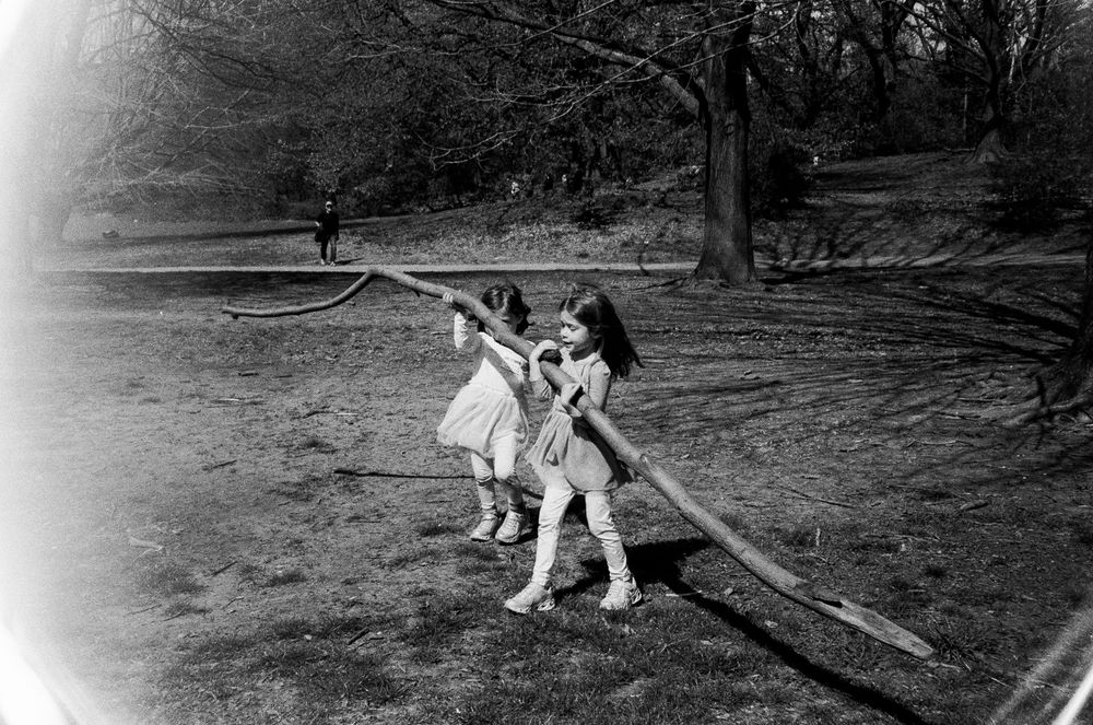 Two girls in dresses carry a large stick together in a black and white park photo.