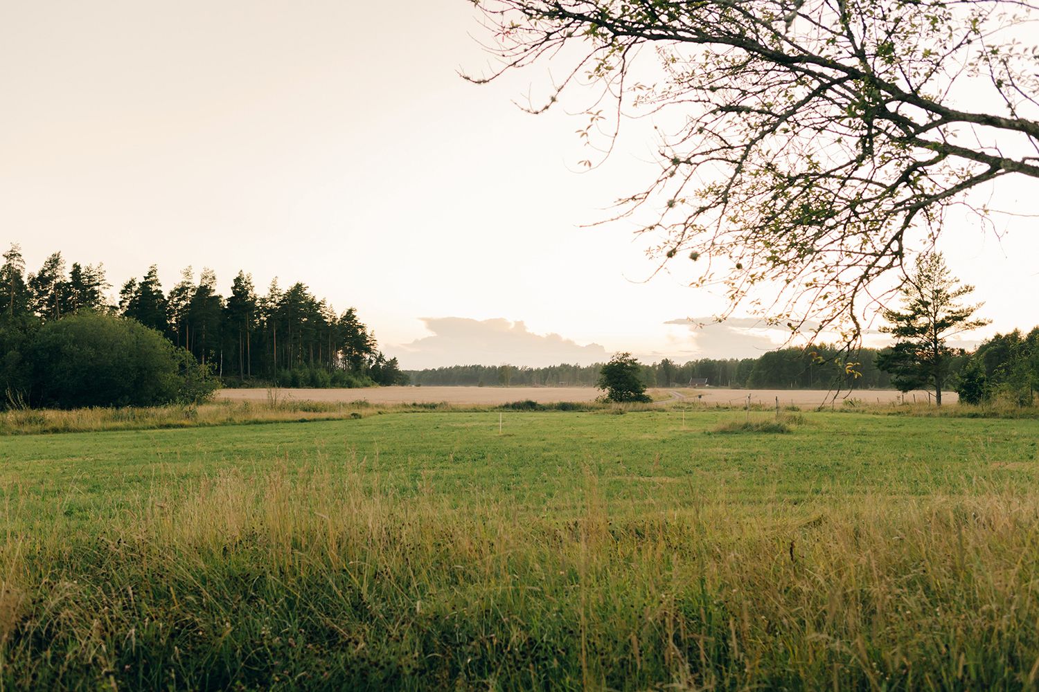Petra Wahlgren på Fröslunda Hage. Fotograf Rebecca Nordin.
