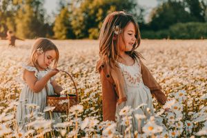 Daisy Wildflower field photography session in Tacoma Washington Spring family photographer