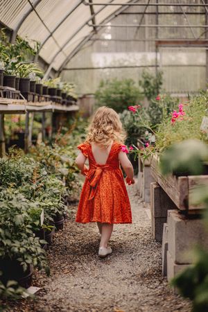 Child walking during their greenhouse family photoshoot at Christianson Nursery near Seattle WA