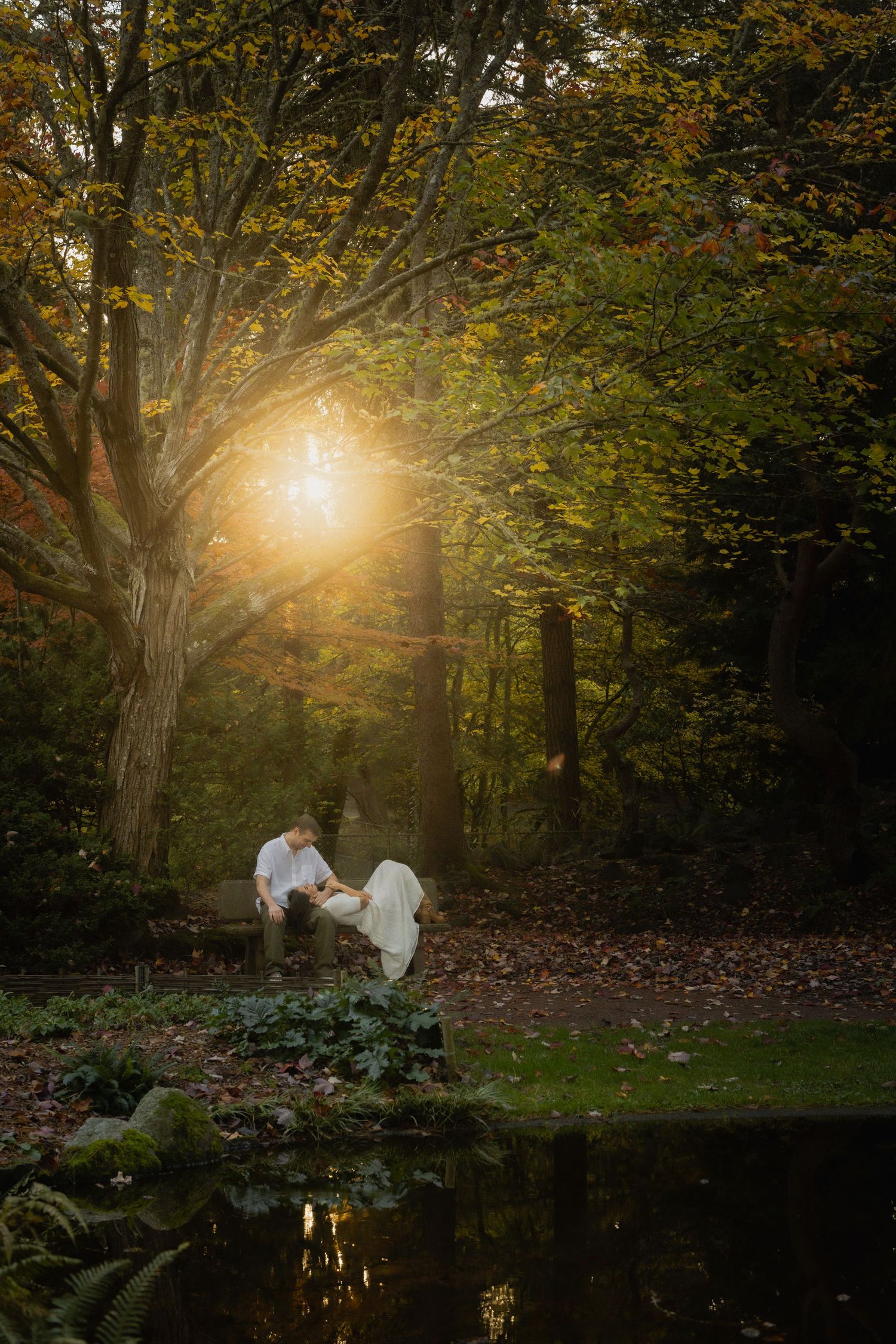 Ethereal sunlight streams through autumn forest trees creating a magical atmosphere by a tranquil pond.