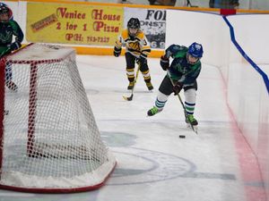 Youth hockey
