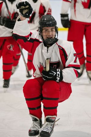 Hockey portrait