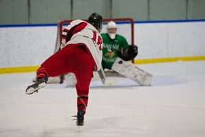 Hockey action