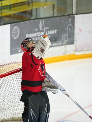 Hockey portrait