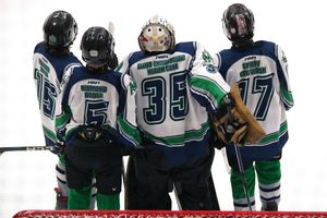 Hockey game action